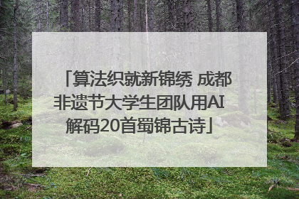 算法织就新锦绣 成都非遗节大学生团队用AI解码20首蜀锦古诗