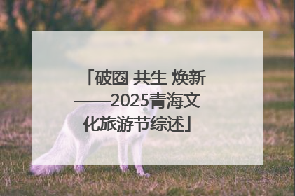 破圈 共生 焕新——2025青海文化旅游节综述