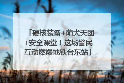硬核装备+萌犬天团+安全课堂！这场警民互动燃爆地铁台东站