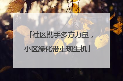 社区携手多方力量，小区绿化带重现生机