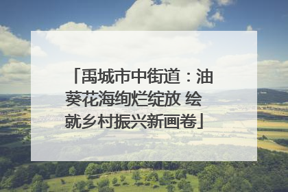 禹城市中街道：油葵花海绚烂绽放 绘就乡村振兴新画卷