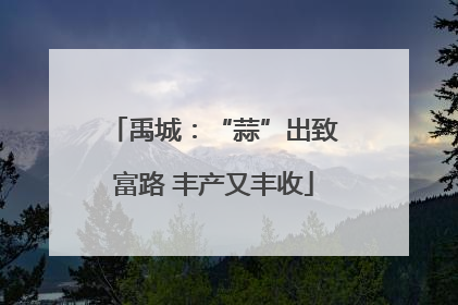 禹城：“蒜”出致富路 丰产又丰收