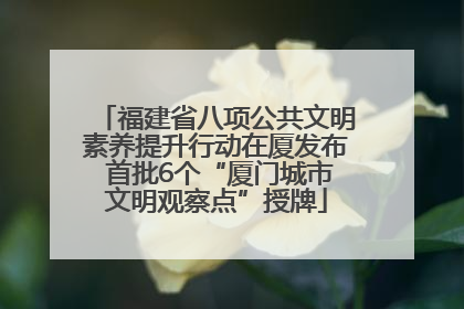 福建省八项公共文明素养提升行动在厦发布 首批6个“厦门城市文明观察点”授牌