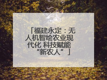福建永定：无人机智绘农业现代化 科技赋能“新农人”