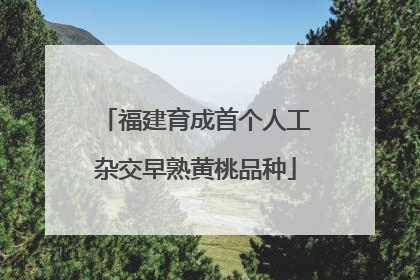 福建育成首个人工杂交早熟黄桃品种