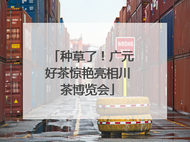 种草了！广元好茶惊艳亮相川茶博览会