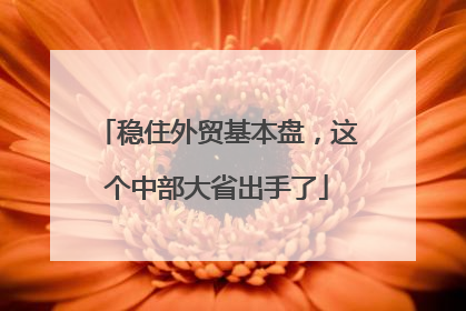 稳住外贸基本盘，这个中部大省出手了