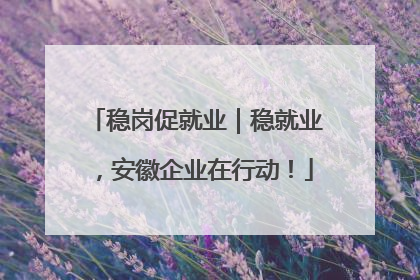 稳岗促就业｜稳就业，安徽企业在行动！