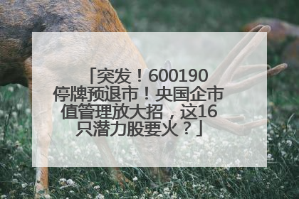 突发！600190停牌预退市！央国企市值管理放大招，这16只潜力股要火？