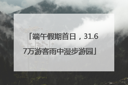 端午假期首日，31.67万游客雨中漫步游园