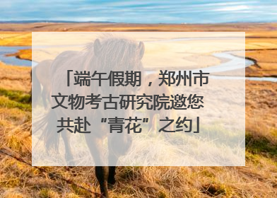 端午假期，郑州市文物考古研究院邀您共赴“青花”之约