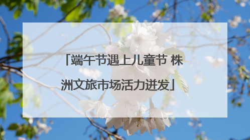 端午节遇上儿童节 株洲文旅市场活力迸发