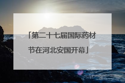第二十七届国际药材节在河北安国开幕