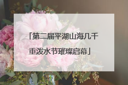第二届平湖山海几千重泼水节璀璨启幕