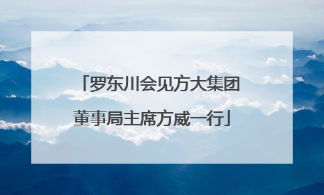 罗东川会见方大集团董事局主席方威一行