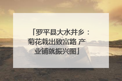 罗平县大水井乡：菊花栽出致富路 产业铺就振兴图