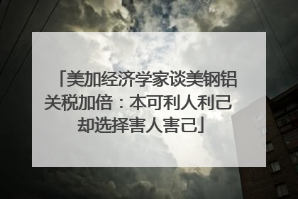 美加经济学家谈美钢铝关税加倍：本可利人利己 却选择害人害己
