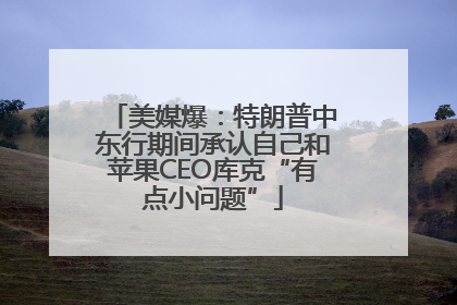 美媒爆：特朗普中东行期间承认自己和苹果CEO库克“有点小问题”