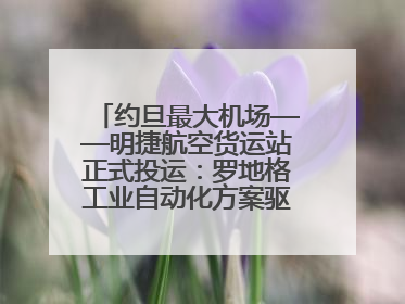 约旦最大机场——明捷航空货运站正式投运：罗地格工业自动化方案驱动中东物流未来新航向