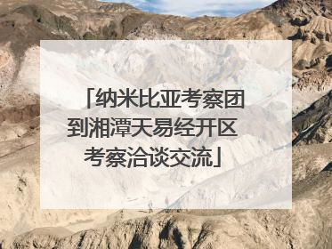 纳米比亚考察团到湘潭天易经开区考察洽谈交流