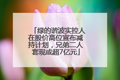 绿的谐波实控人在股价高位宣布减持计划，兄弟二人套现或超7亿元
