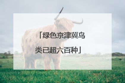 绿色京津冀鸟类已超六百种