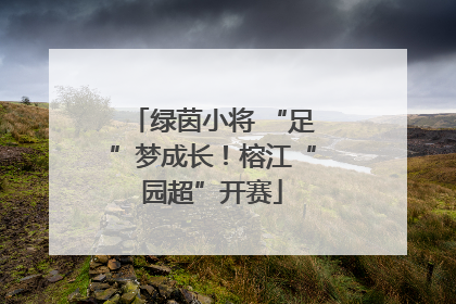 绿茵小将 “足”梦成长！榕江“园超”开赛