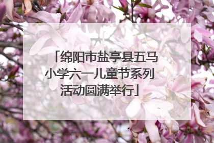 绵阳市盐亭县五马小学六一儿童节系列活动圆满举行