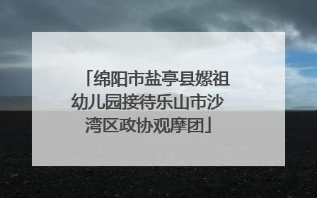 绵阳市盐亭县嫘祖幼儿园接待乐山市沙湾区政协观摩团