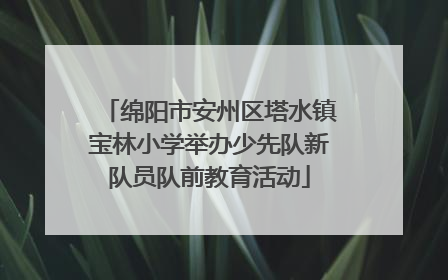 绵阳市安州区塔水镇宝林小学举办少先队新队员队前教育活动