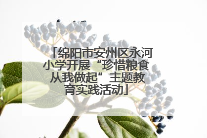 绵阳市安州区永河小学开展“珍惜粮食 从我做起”主题教育实践活动