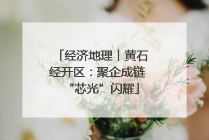 经济地理丨黄石经开区：聚企成链“芯光”闪耀