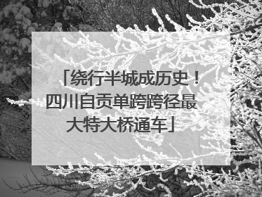 绕行半城成历史！四川自贡单跨跨径最大特大桥通车