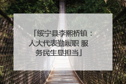 绥宁县李熙桥镇：人大代表勤履职 服务民生显担当