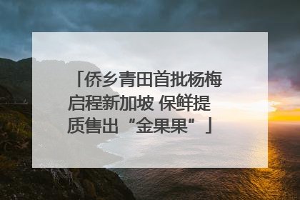 侨乡青田首批杨梅启程新加坡 保鲜提质售出“金果果”
