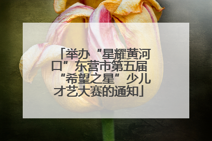 举办“星耀黄河口”东营市第五届“希望之星”少儿才艺大赛的通知