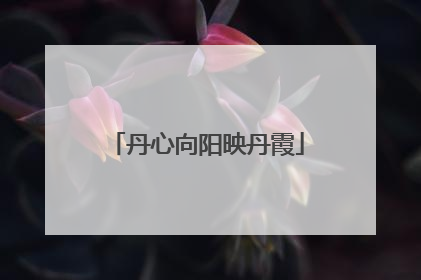 丹心向阳映丹霞