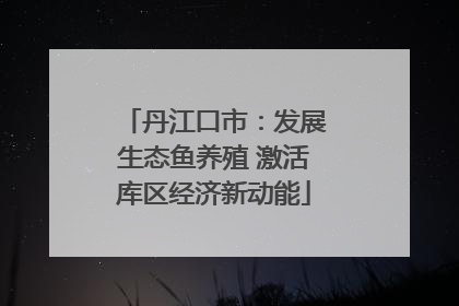 丹江口市：发展生态鱼养殖 激活库区经济新动能