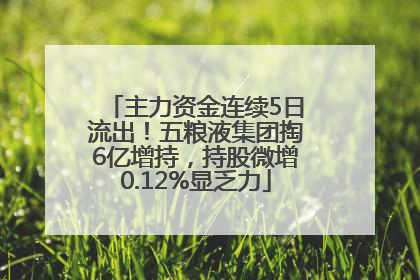 主力资金连续5日流出！五粮液集团掏6亿增持，持股微增0.12%显乏力