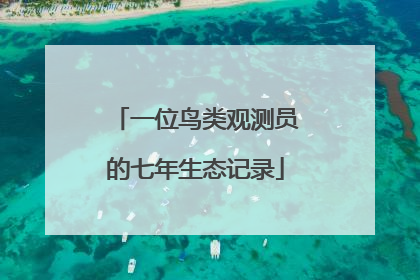 一位鸟类观测员的七年生态记录
