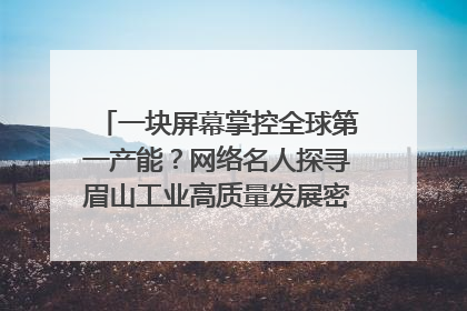 一块屏幕掌控全球第一产能？网络名人探寻眉山工业高质量发展密码｜网络名人四川行