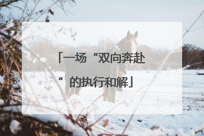 一场“双向奔赴”的执行和解