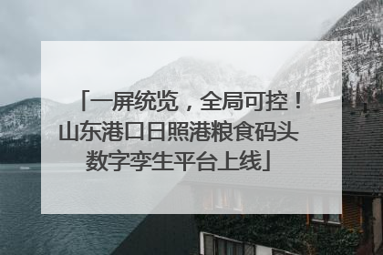 一屏统览，全局可控！山东港口日照港粮食码头数字孪生平台上线