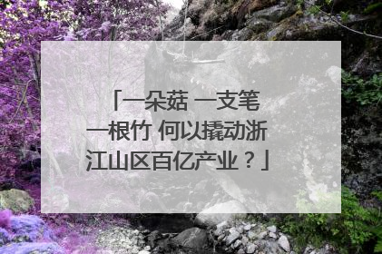 一朵菇 一支笔 一根竹 何以撬动浙江山区百亿产业？