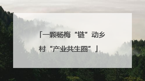 一颗杨梅“链”动乡村“产业共生圈”