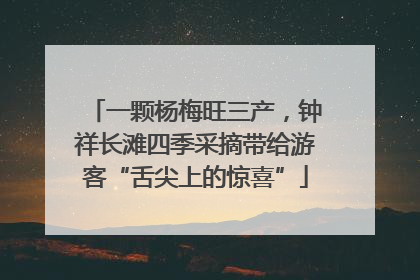 一颗杨梅旺三产，钟祥长滩四季采摘带给游客“舌尖上的惊喜”