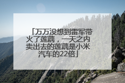 万万没想到雷军带火了莲藕，一天之内卖出去的莲藕是小米汽车的22倍