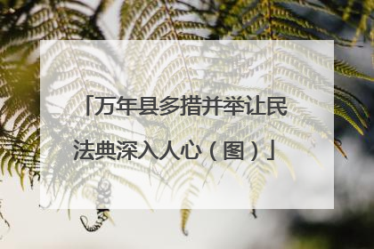 万年县多措并举让民法典深入人心（图）