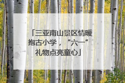 三亚南山景区情暖抱古小学，“六一”礼物点亮童心