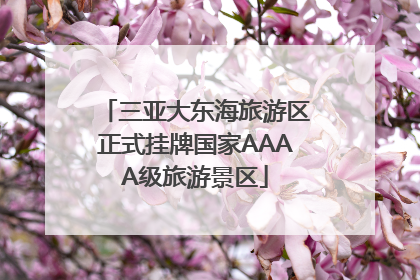 三亚大东海旅游区正式挂牌国家AAAA级旅游景区